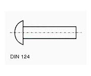 nity DIN 124