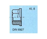 matice DIN 6927
